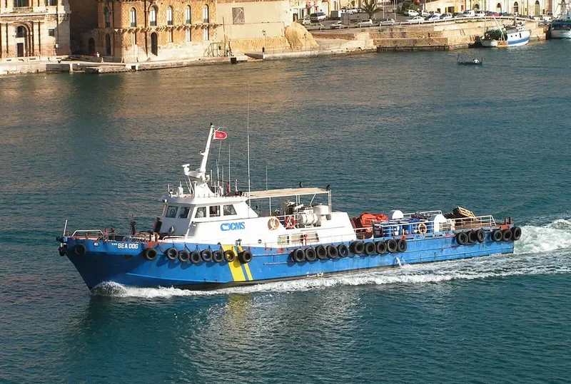 DOT 1 General Cargo IMO 8015415 photo 8