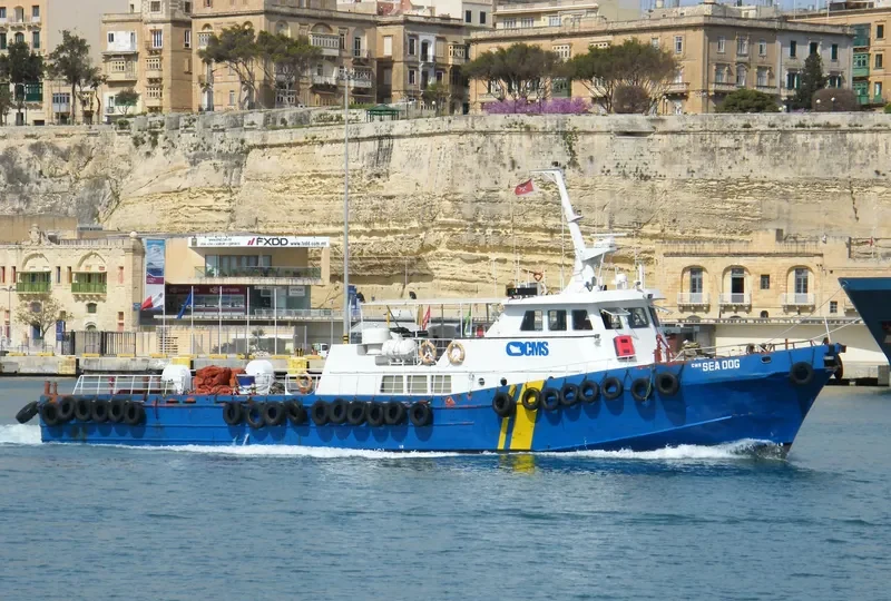 DOT 1 General Cargo IMO 8015415 photo 10