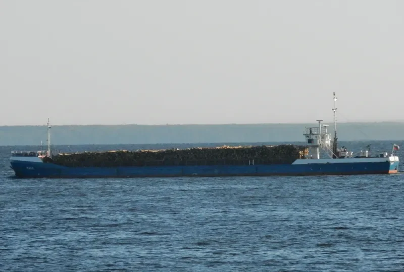 GREEN BRIDGE General Cargo IMO 8017011 photo 7