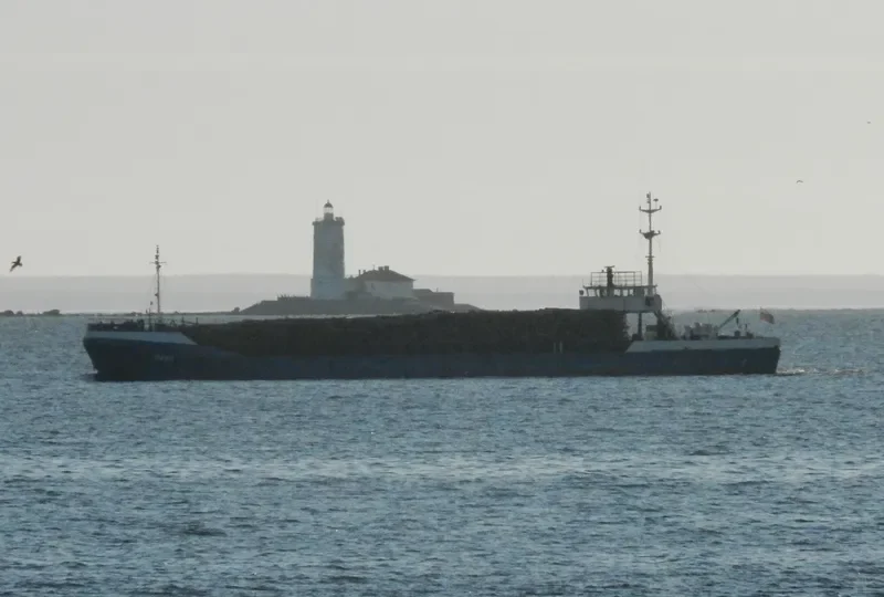 GREEN BRIDGE General Cargo IMO 8017011 photo 8