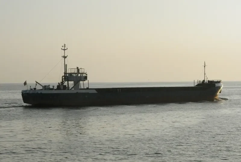 GREEN BRIDGE General Cargo IMO 8017011 photo 10