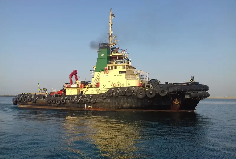 AL WAHSH General Cargo IMO 8017190