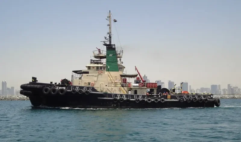 AL WAHSH General Cargo IMO 8017190 photo 2