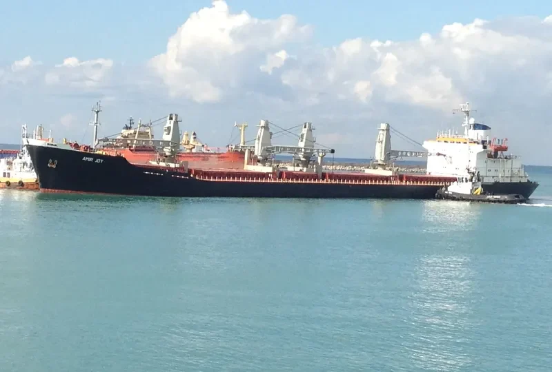 AMIR JOY Bulk Carrier IMO 8018924