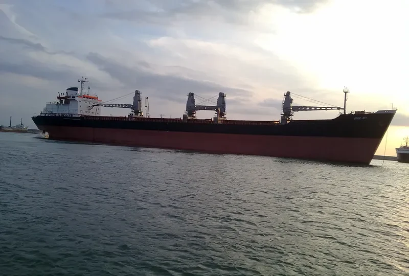 AMIR JOY Bulk Carrier IMO 8018924 photo 2