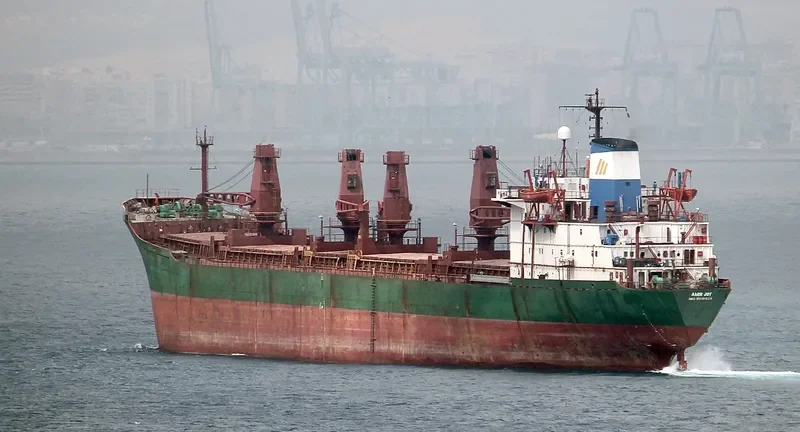 AMIR JOY Bulk Carrier IMO 8018924 photo 3
