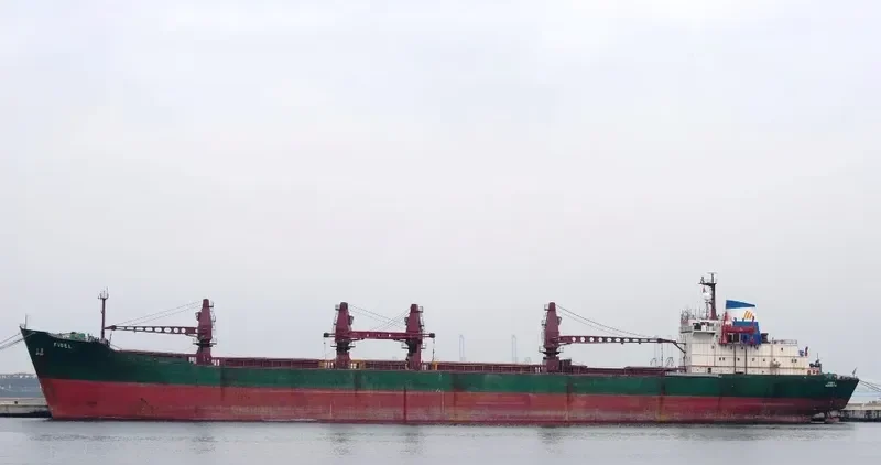 AMIR JOY Bulk Carrier IMO 8018924 photo 4