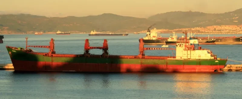 AMIR JOY Bulk Carrier IMO 8018924 photo 5