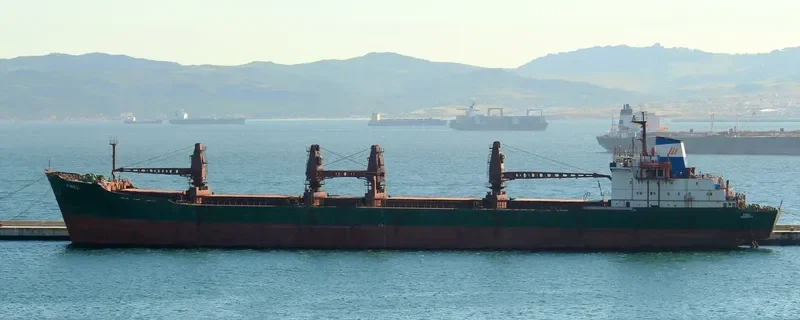 AMIR JOY Bulk Carrier IMO 8018924 photo 6