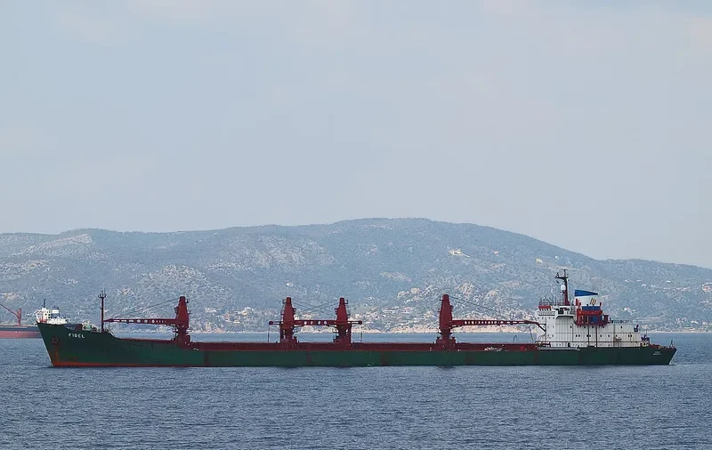 AMIR JOY Bulk Carrier IMO 8018924 photo 7