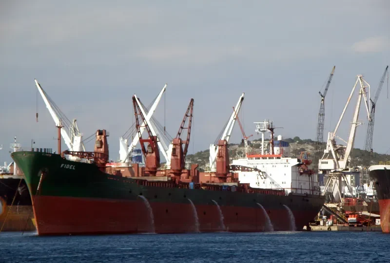 AMIR JOY Bulk Carrier IMO 8018924 photo 8