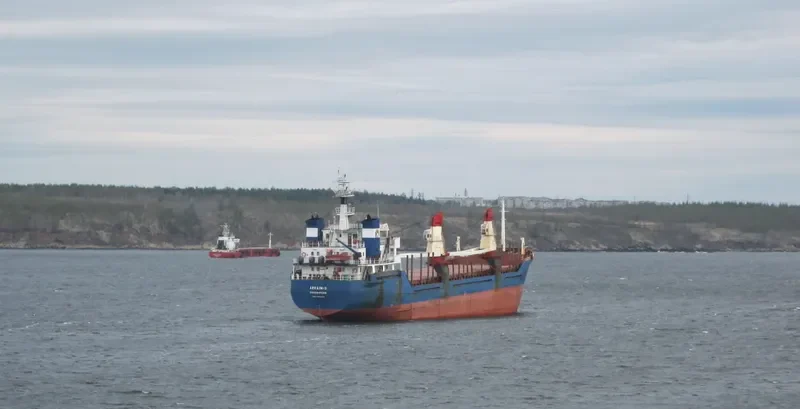 ARKAIM 3 General Cargo IMO 8019318 photo 3