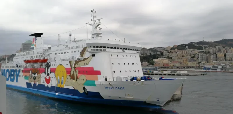 MOBY ZAZA Ro-Ro IMO 8020642 photo 6