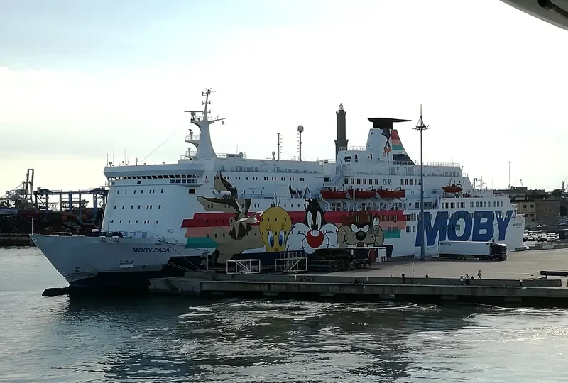 MOBY ZAZA Ro-Ro IMO 8020642 photo 7
