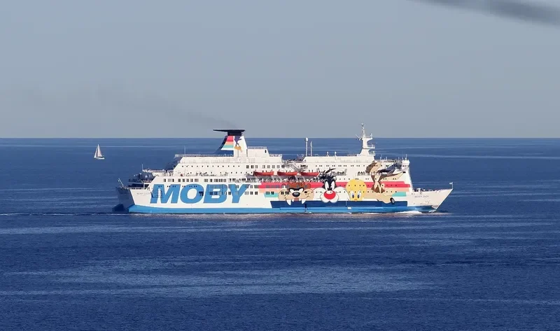 MOBY ZAZA Ro-Ro IMO 8020642 photo 8