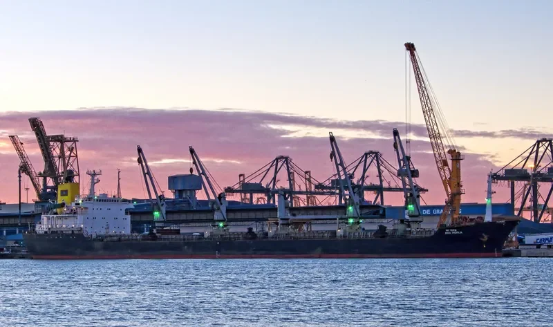 AMIRA DINA Bulk Carrier IMO 8020745