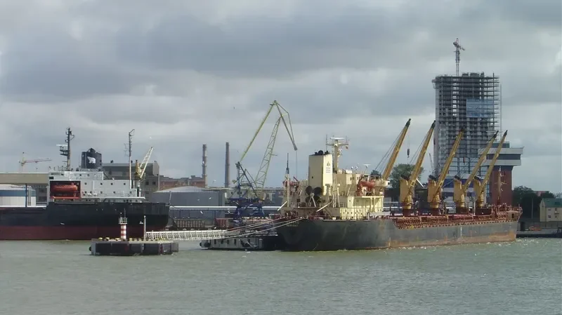 AMIRA DINA Bulk Carrier IMO 8020745 photo 2
