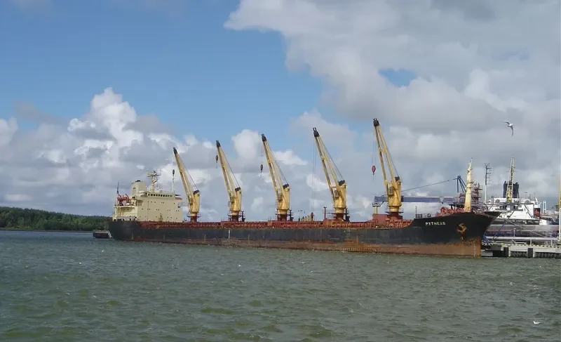 AMIRA DINA Bulk Carrier IMO 8020745 photo 3