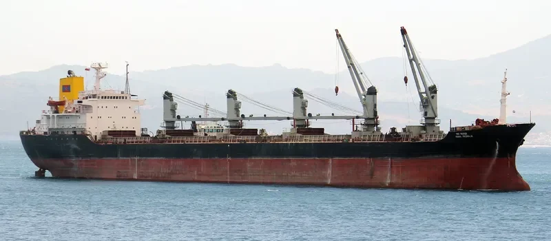 AMIRA DINA Bulk Carrier IMO 8020745 photo 4