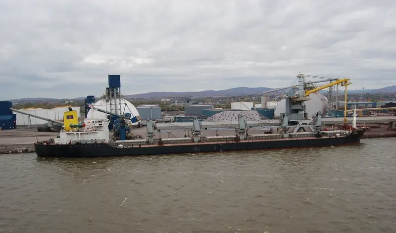 AMIRA DINA Bulk Carrier IMO 8020745 photo 5
