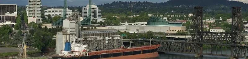 PANAMAX SUN Bulk Carrier IMO 8023967