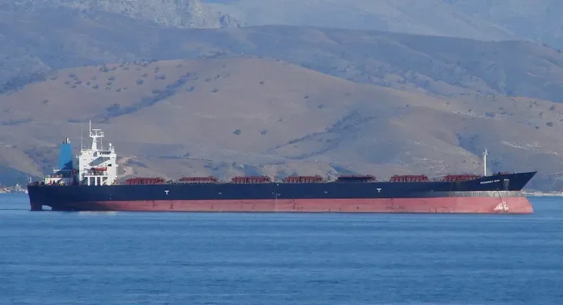 PANAMAX SUN Bulk Carrier IMO 8023967 photo 2