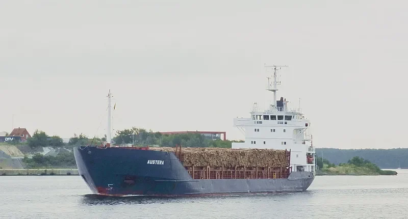 NOBLE 1 Container Ship IMO 8024155 photo 2