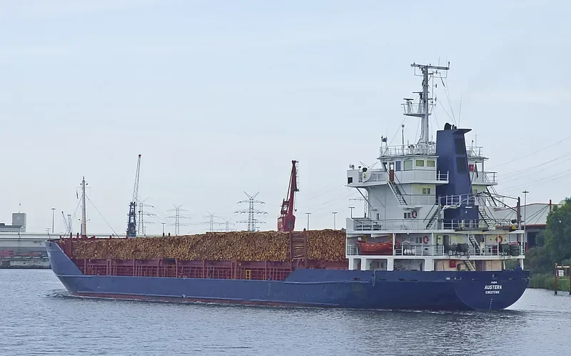 NOBLE 1 Container Ship IMO 8024155 photo 4