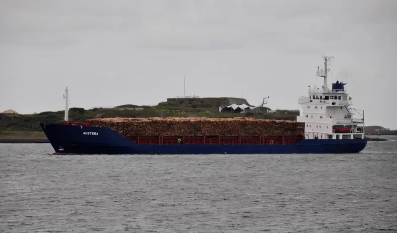 NOBLE 1 Container Ship IMO 8024155 photo 6