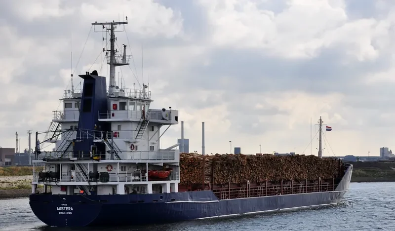 NOBLE 1 Container Ship IMO 8024155 photo 8