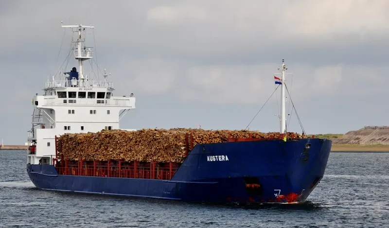 NOBLE 1 Container Ship IMO 8024155 photo 9
