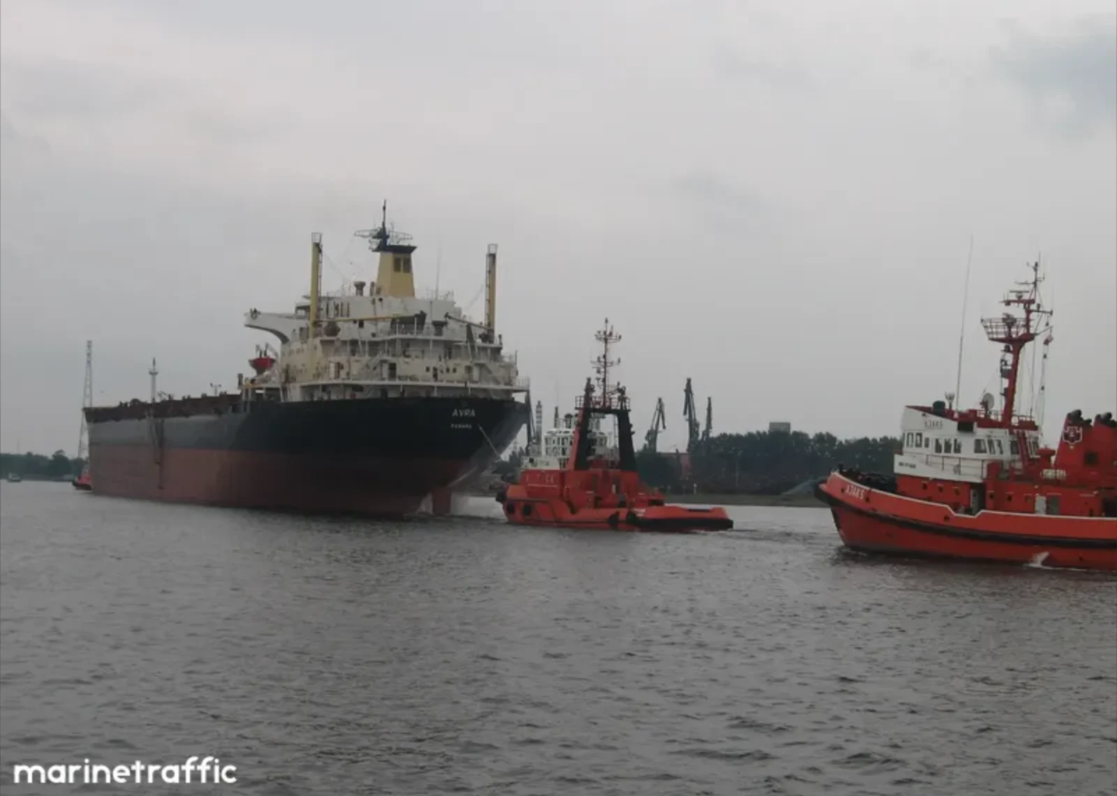 AVRA Bulk Carrier IMO 8024521