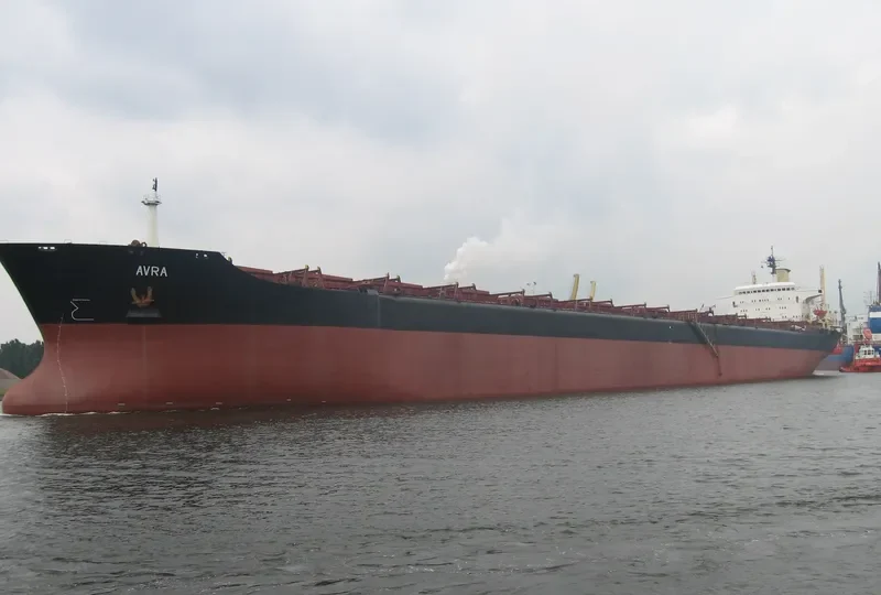 AVRA Bulk Carrier IMO 8024521 photo 2