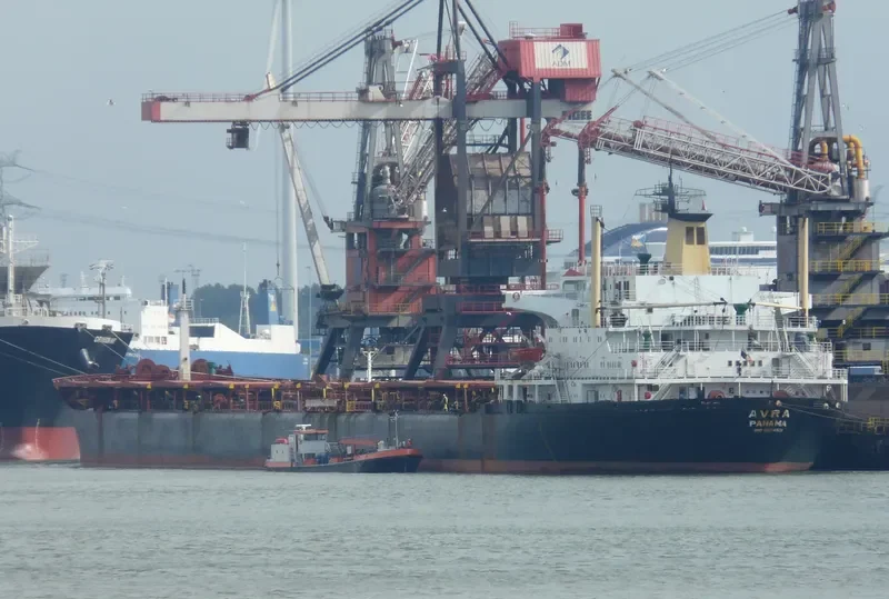 AVRA Bulk Carrier IMO 8024521 photo 4