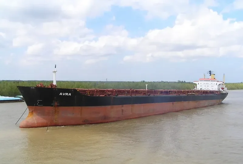 AVRA Bulk Carrier IMO 8024521 photo 5
