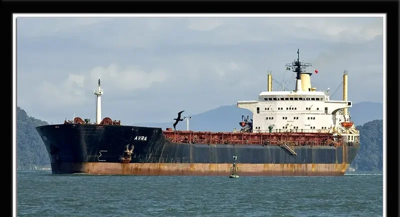 AVRA Bulk Carrier IMO 8024521 photo 13