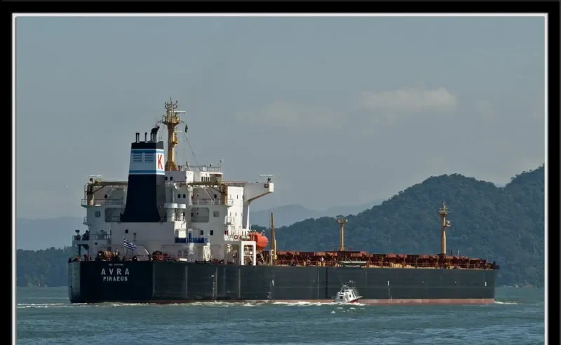 AVRA Bulk Carrier IMO 8024521 photo 19