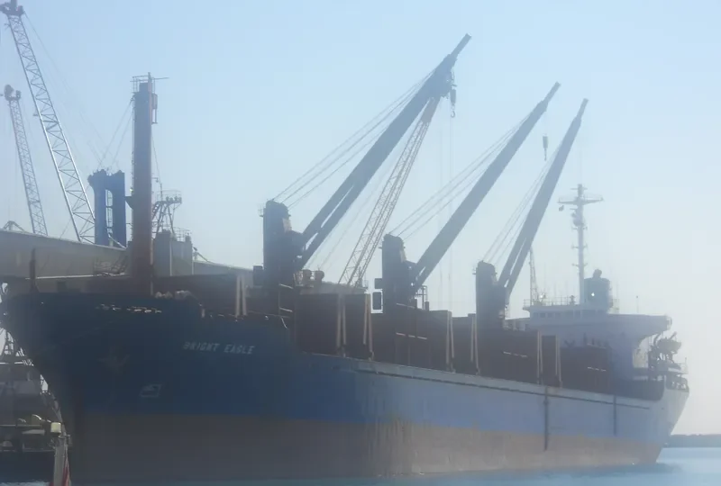 BRIGG Bulk Carrier IMO 8024923