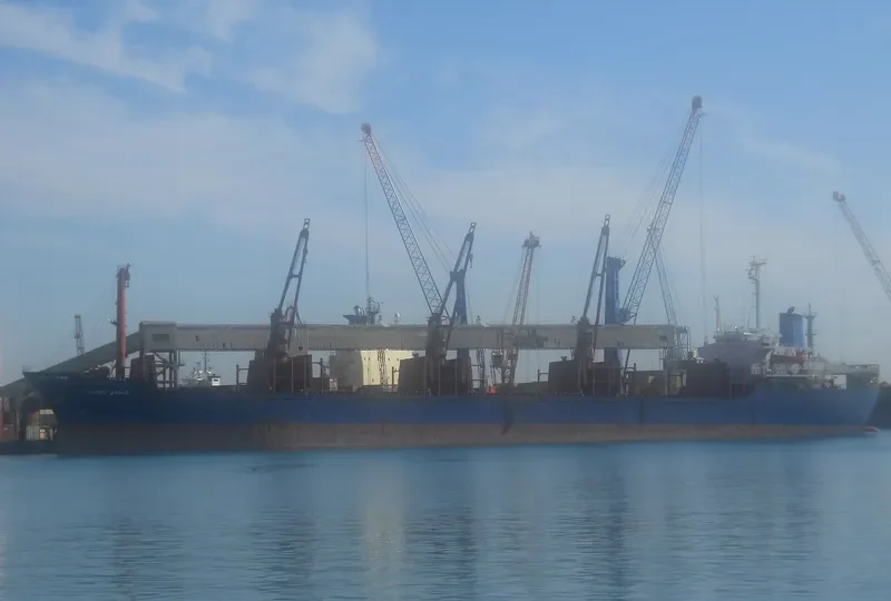 BRIGG Bulk Carrier IMO 8024923 photo 2