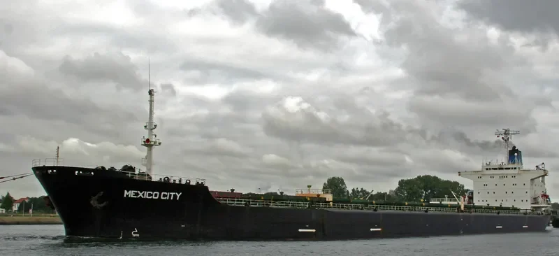 MEXICO CITY Bulk Carrier IMO 8025288