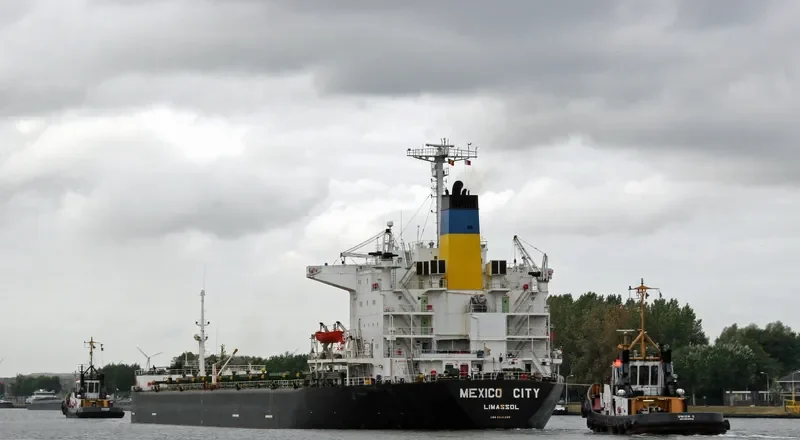MEXICO CITY Bulk Carrier IMO 8025288 photo 2