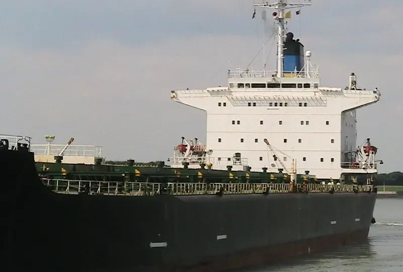 MEXICO CITY Bulk Carrier IMO 8025288 photo 4