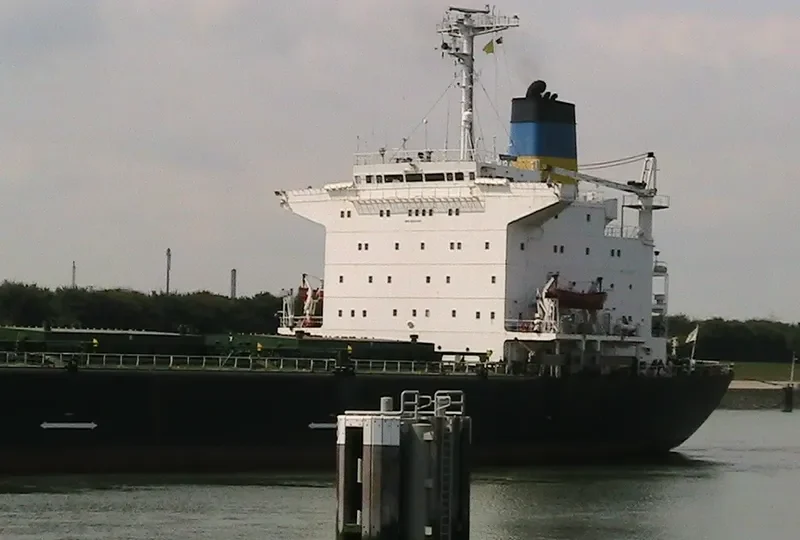 MEXICO CITY Bulk Carrier IMO 8025288 photo 6