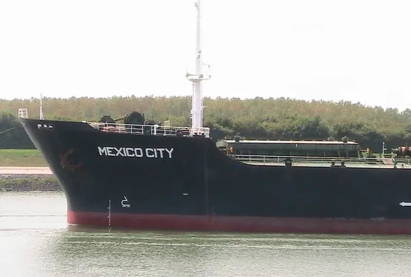 MEXICO CITY Bulk Carrier IMO 8025288 photo 7