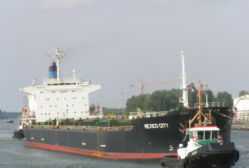 MEXICO CITY Bulk Carrier IMO 8025288 photo 8
