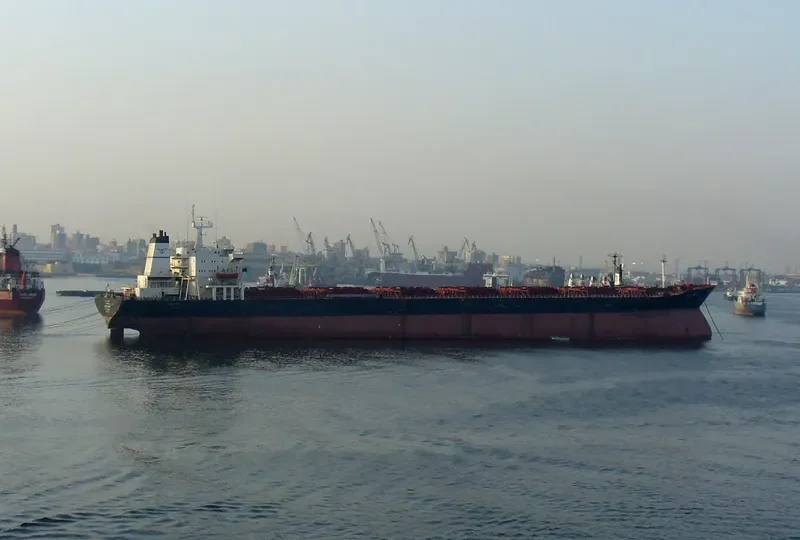OCEAN BEAUTY Bulk Carrier IMO 8025850 photo 2