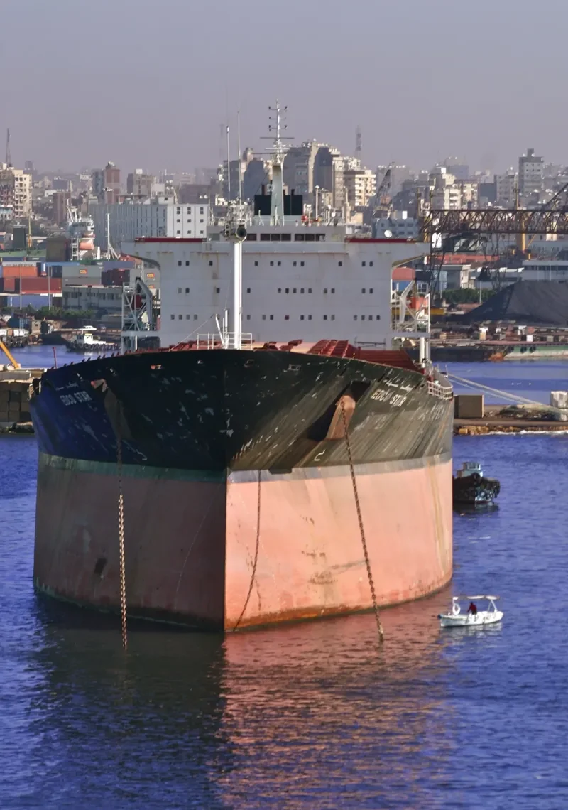 OCEAN BEAUTY Bulk Carrier IMO 8025850 photo 7