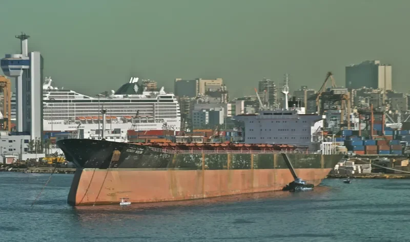 OCEAN BEAUTY Bulk Carrier IMO 8025850 photo 8