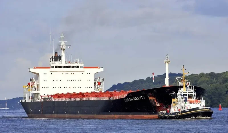 OCEAN BEAUTY Bulk Carrier IMO 8025850 photo 10