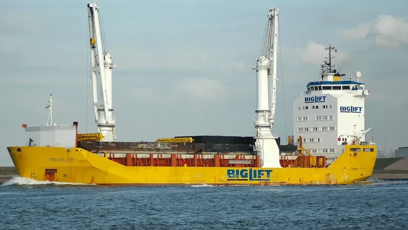 TRAVELLER General Cargo IMO 8026012